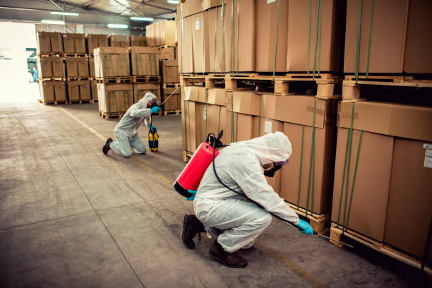 Best Flea Control Services  in Point Venture, TX