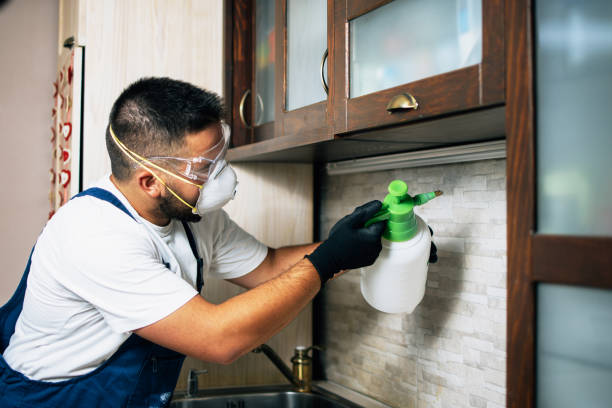 Best Affordable Pest Control Services  in Point Venture, TX