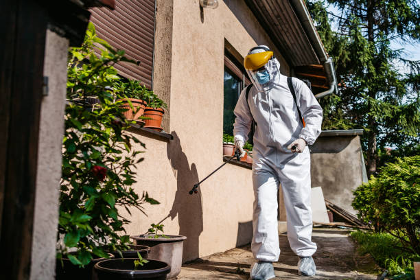 Pest Prevention Services in Point Venture, TX