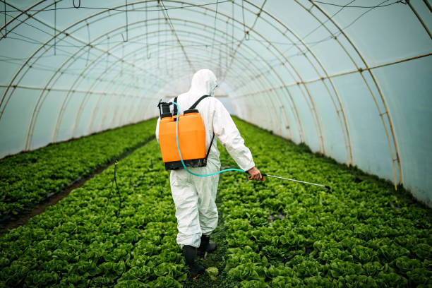 Pest Control for Restaurants in Point Venture, TX