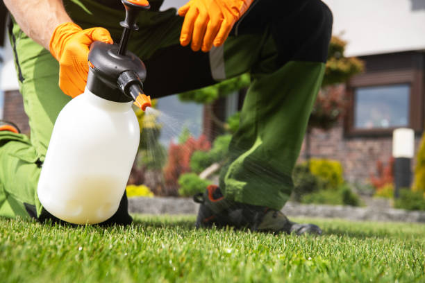 Best Local Pest Control Services  in Point Venture, TX