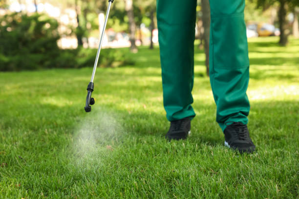 Best Mosquito Control Services  in Point Venture, TX