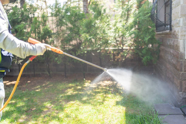 Best Best Pest Control Companies  in Point Venture, TX
