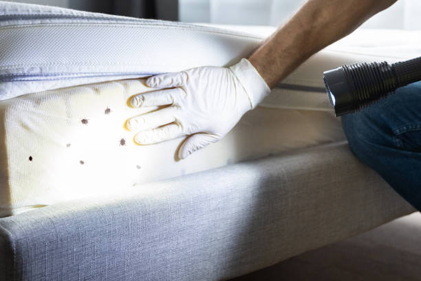 Trusted Point Venture, TX Pest Control Experts