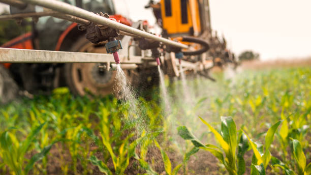 Reliable Point Venture, TX Pest Control Solutions